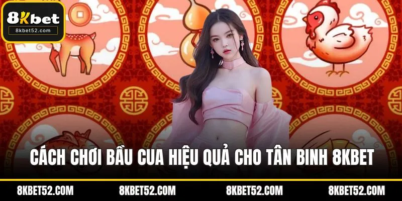 Chơi bầu cua hiệu quả